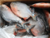 Poisson Red Partu