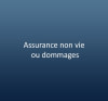 Assurance non vie ou dommages