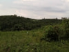 Aménagement rural