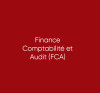 Finance Comptabilité et Audit (FCA)