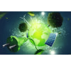 Energies renouvelables