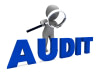 Audit