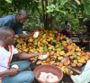Accompagnement des producteurs