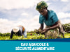 Eau agricole et sécurité alimentaire