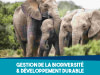 Gestion de la biodiversité et développement durable