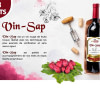 VINSAP