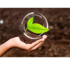 Agro-Business