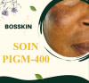 SOIN PIGM 400