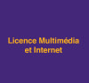 Licence Multimédia et Internet