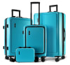 Bagages accompagnés