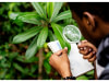 Evaluations Environnementales