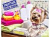 Toilettage pour chien