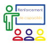 Renforcement de capacité en ligne