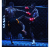Boxe thaïlandaise