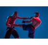 MMA (Mix Martial Art)