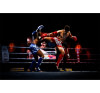 Boxe thaïlandaise