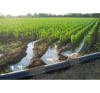Irrigation