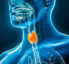 Endocrinologie-diabétologie