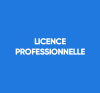 Licence Professionnelle