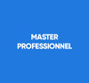 Master Professionnel
