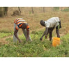 Installation des fermes agro-pastorales