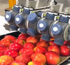 Equipements de transformation agroalimentaire