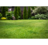Création et aménagement des espaces verts
