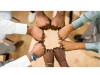 Management Des Ressources Humaines