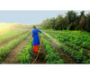 Agrobusiness