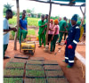 Prestation de services agricoles