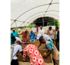 Formation en Agriculture