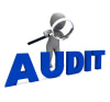 Audit