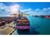 Import / Export