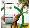 Crédit mobile