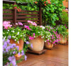 Vente des pots de fleurs et fruitiers