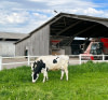 Ferme clé en main