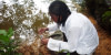 Environnement