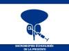 Microbiopsie échoguidée de la prostate