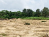Terrain en vente à Jacqueville