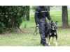 MAITRE-CHIEN