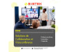 Solutions de collaboration et visio-conférence