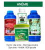 ANEMIE
