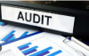 Audit & Diagnostic