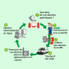Gestion administrative des déchets