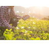 TECHNOLOGIE AU SERVICE DE L’AGRICULTURE
