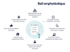 Construction : Bail emphytéotique