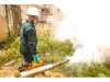 Fumigation
