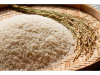 Commerce & Distribution de RIZ