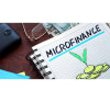 Audit des microfinances