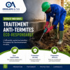 Traitement Anti-termites Éco-responsable
